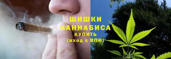 ПСИЛОЦИБИНОВЫЕ ГРИБЫ Алексин