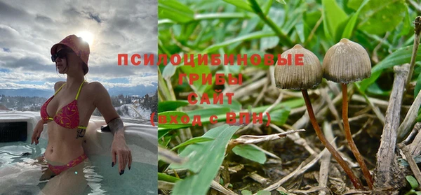 марки nbome Пролетарск