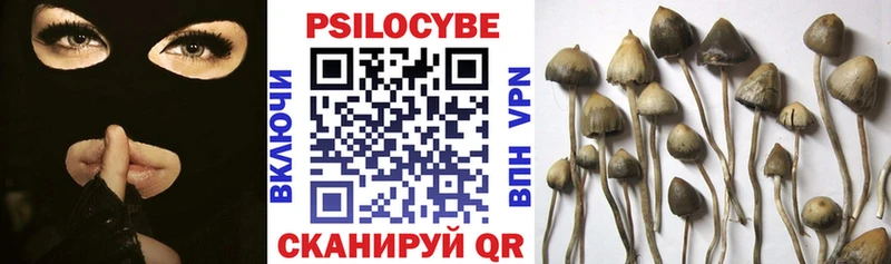 Псилоцибиновые грибы ЛСД  где продают   Ахтубинск 